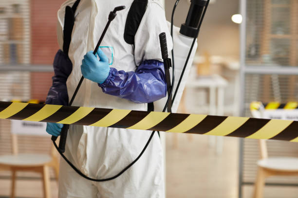 Professional Sewage Cleanup technician working in Davenport, WA